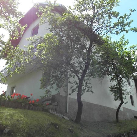 Ferienwohnung Pr' Hribar Zgornje Gorje Exterior foto