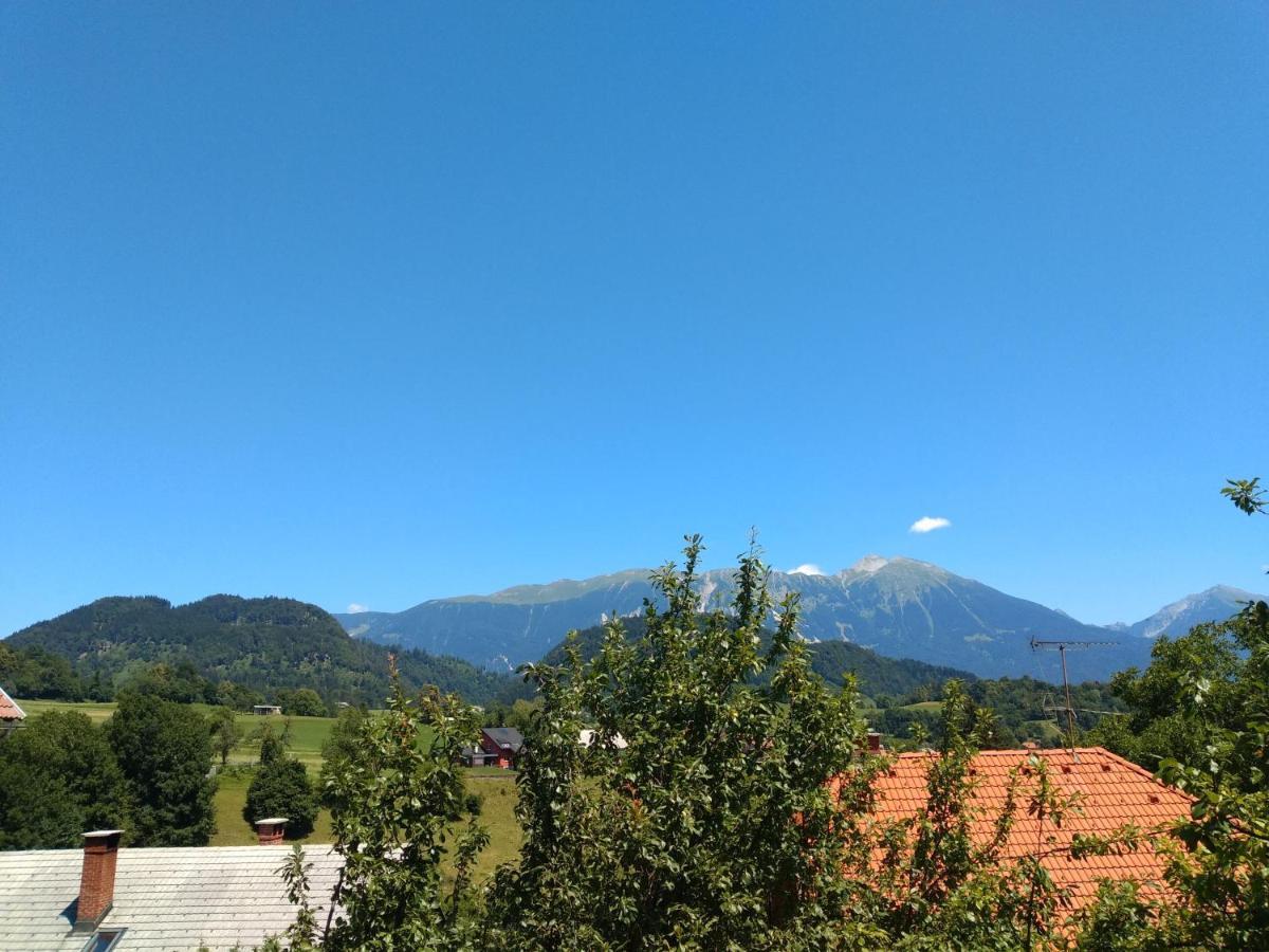Ferienwohnung Pr' Hribar Zgornje Gorje Exterior foto