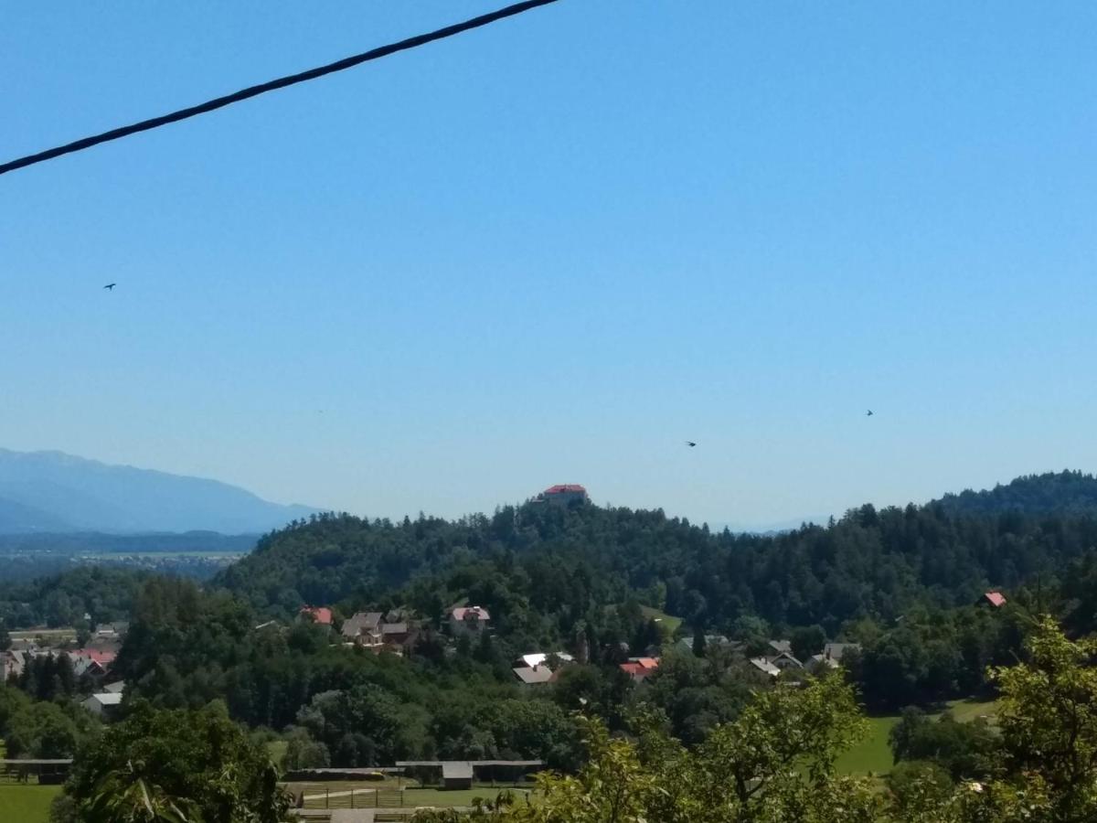 Ferienwohnung Pr' Hribar Zgornje Gorje Exterior foto
