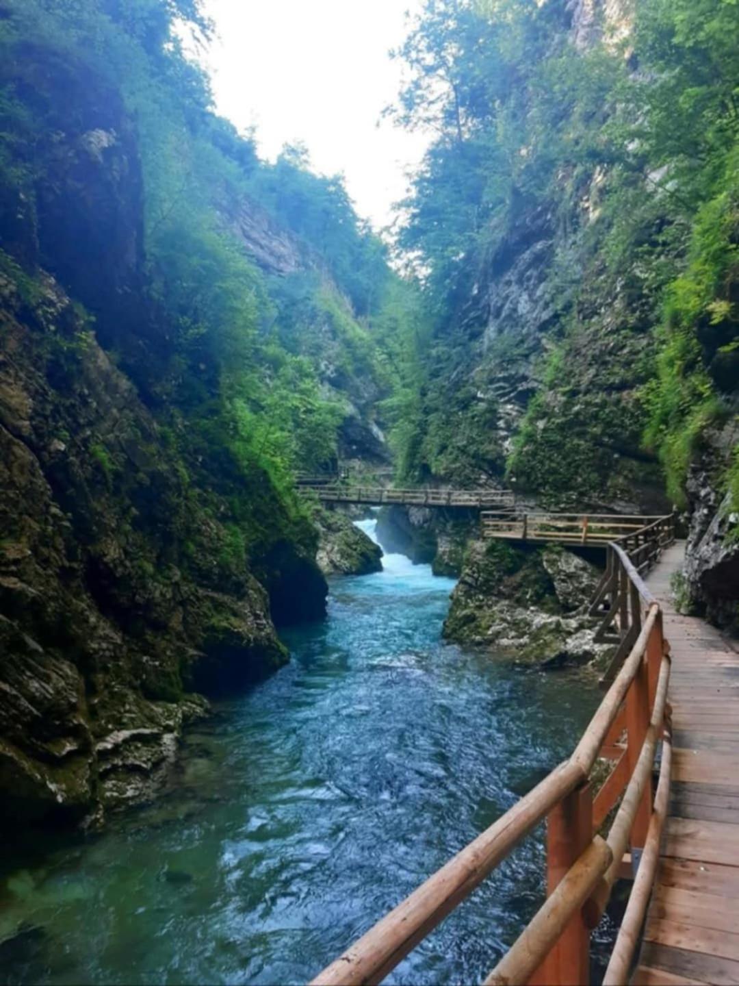 Ferienwohnung Pr' Hribar Zgornje Gorje Exterior foto