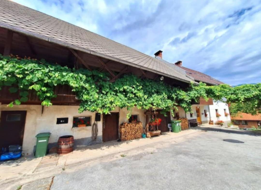 Ferienwohnung Pr' Hribar Zgornje Gorje Exterior foto