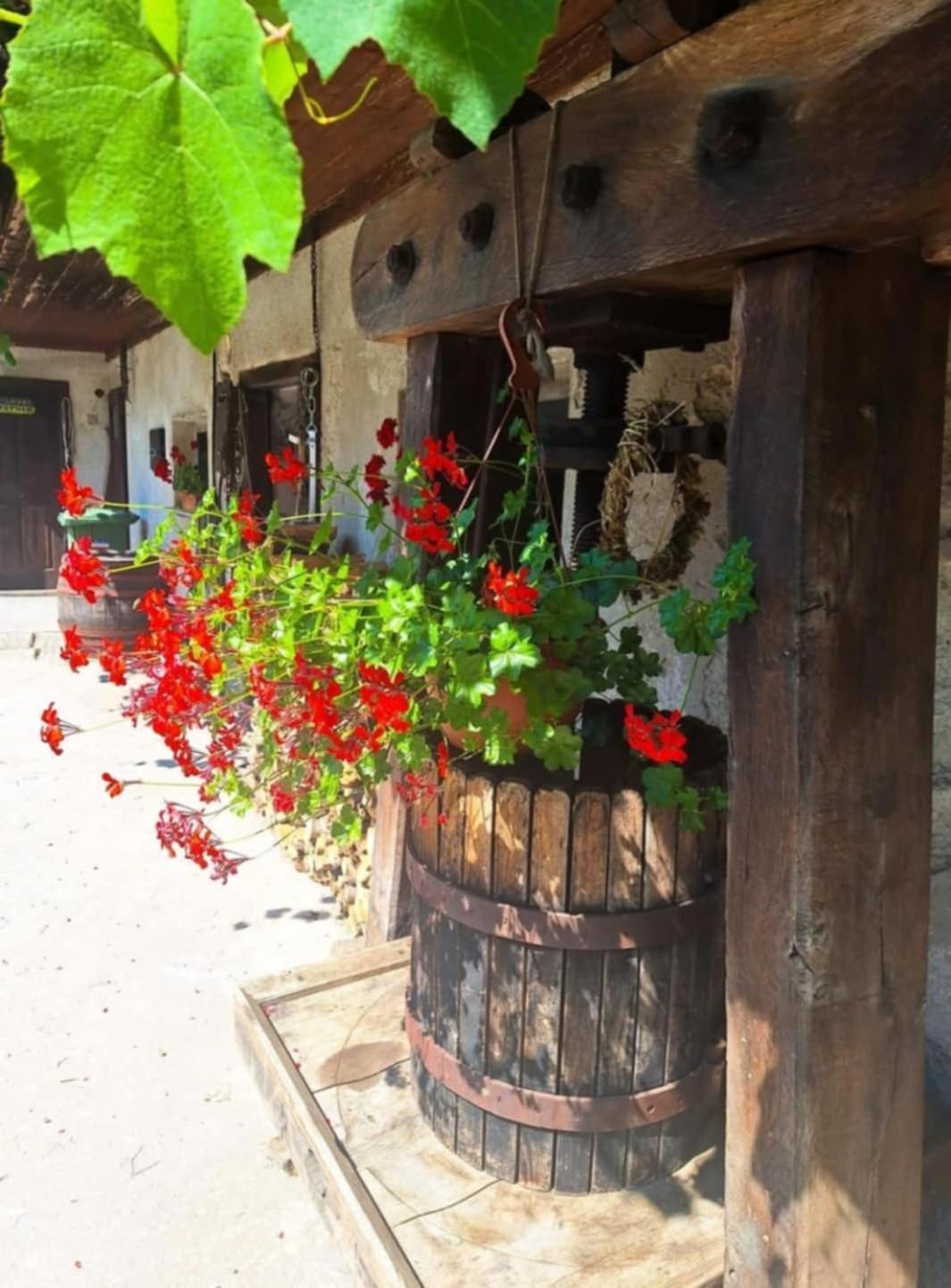 Ferienwohnung Pr' Hribar Zgornje Gorje Exterior foto