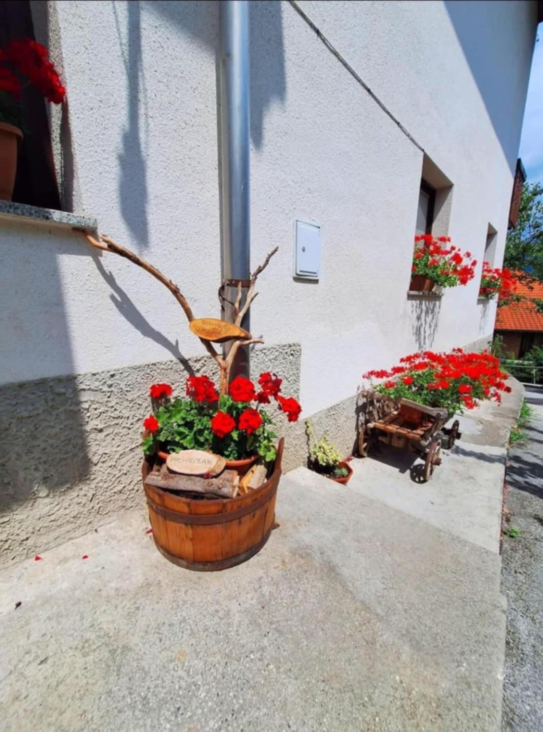 Ferienwohnung Pr' Hribar Zgornje Gorje Exterior foto
