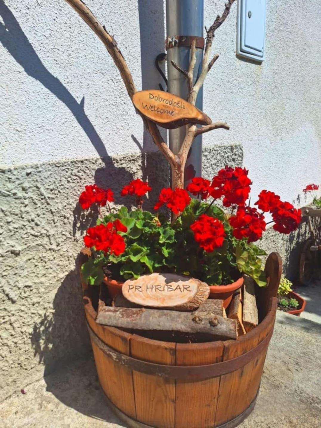 Ferienwohnung Pr' Hribar Zgornje Gorje Exterior foto