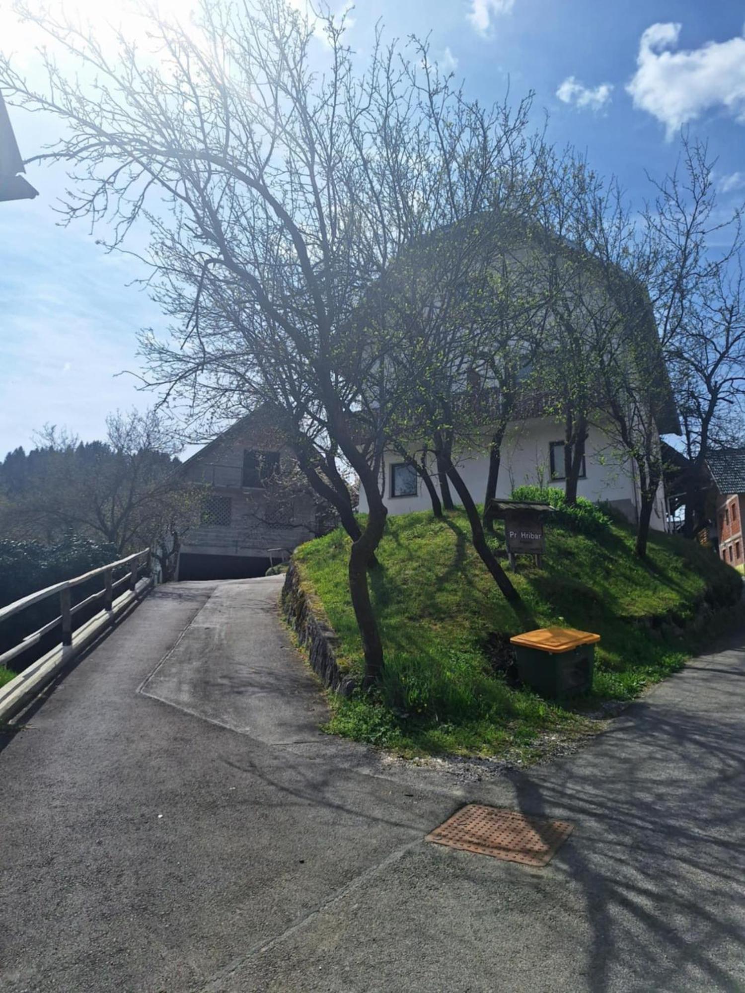 Ferienwohnung Pr' Hribar Zgornje Gorje Exterior foto