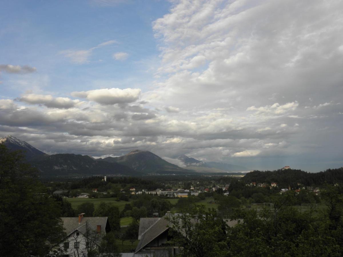Ferienwohnung Pr' Hribar Zgornje Gorje Exterior foto