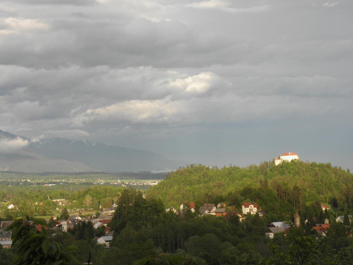 Ferienwohnung Pr' Hribar Zgornje Gorje Exterior foto