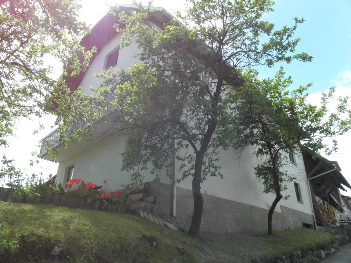 Ferienwohnung Pr' Hribar Zgornje Gorje Exterior foto