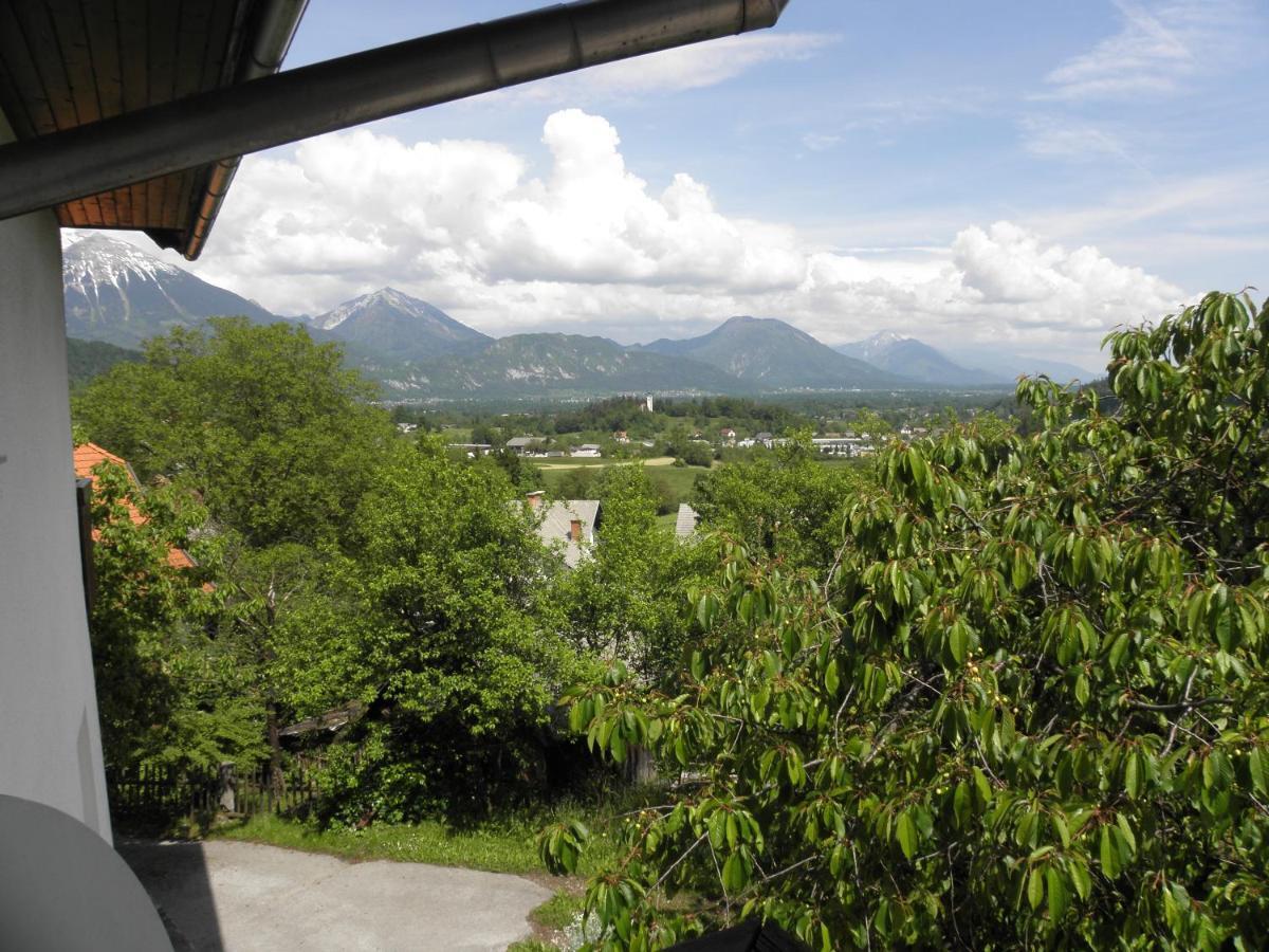 Ferienwohnung Pr' Hribar Zgornje Gorje Exterior foto